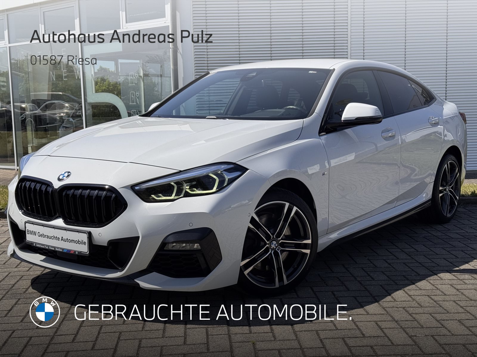 220i M Sport HiFi KAMERA LR-Heiz, 18 LM Räder
