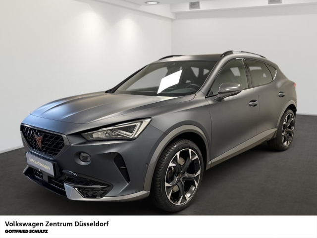Formentor VZ 2.0 TSI DSG 4Drive Rückfahrkamera