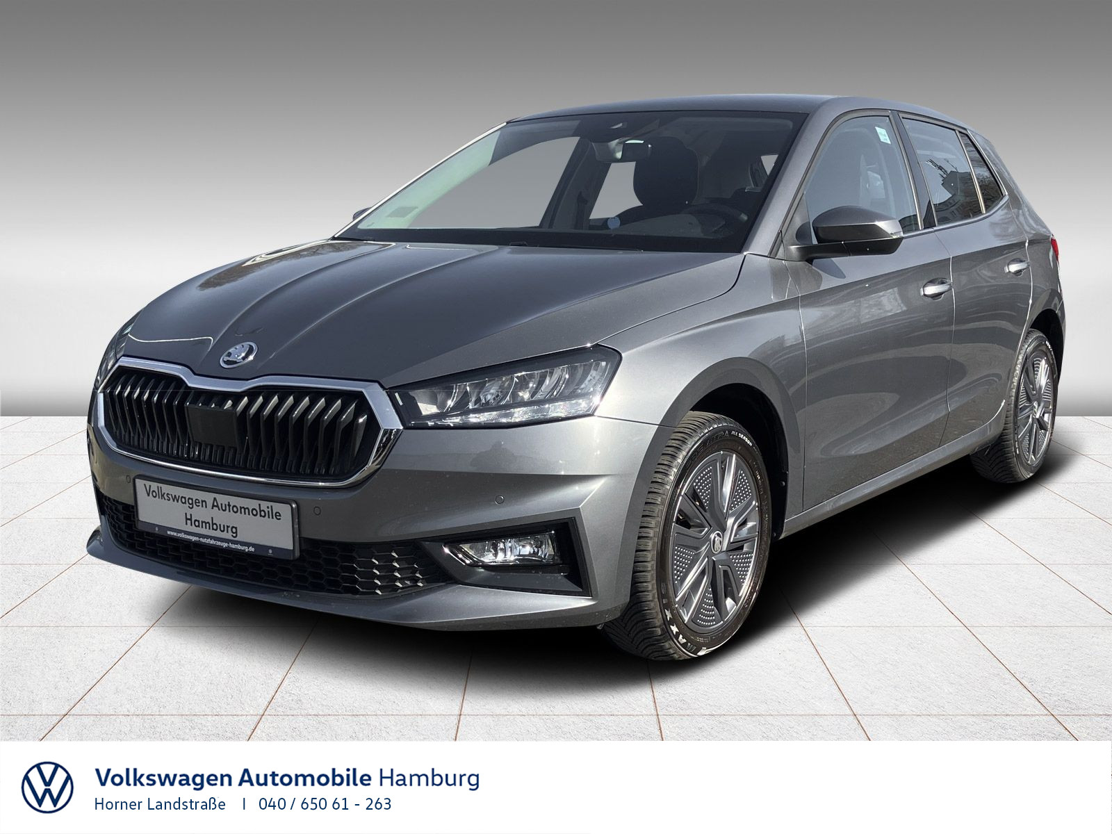 Fabia 1.0 TSI Style AppConnect Rückfahrkamera LED