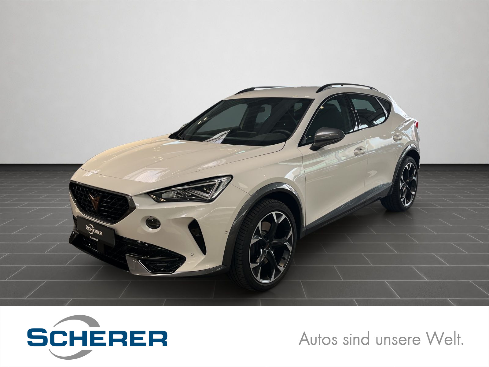 Formentor VZ 2.0 TSI DSG, SHZ