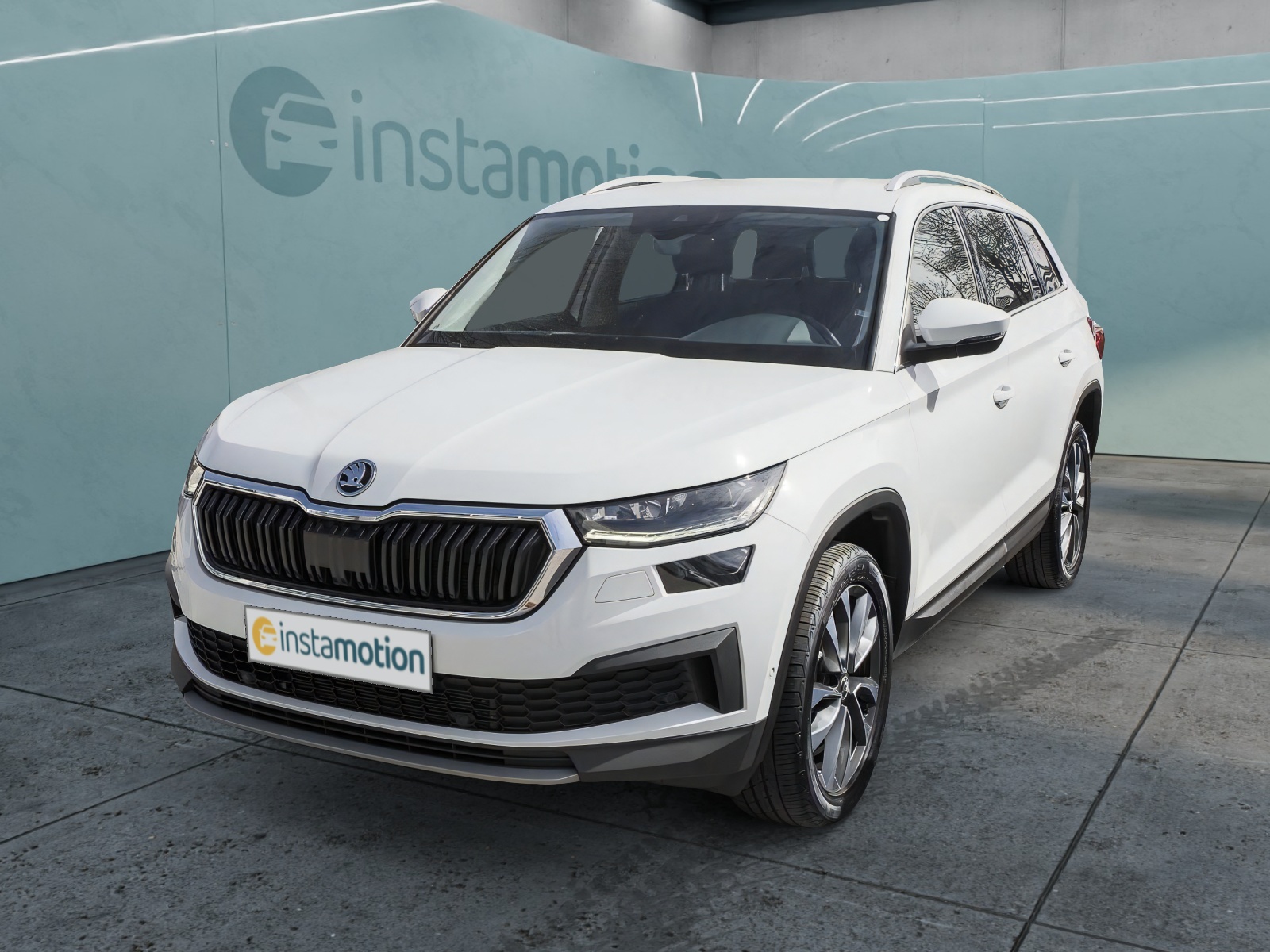 Kodiaq 2.0 TDI 4x4 Tour AHK Matrix Navi Standhz.
