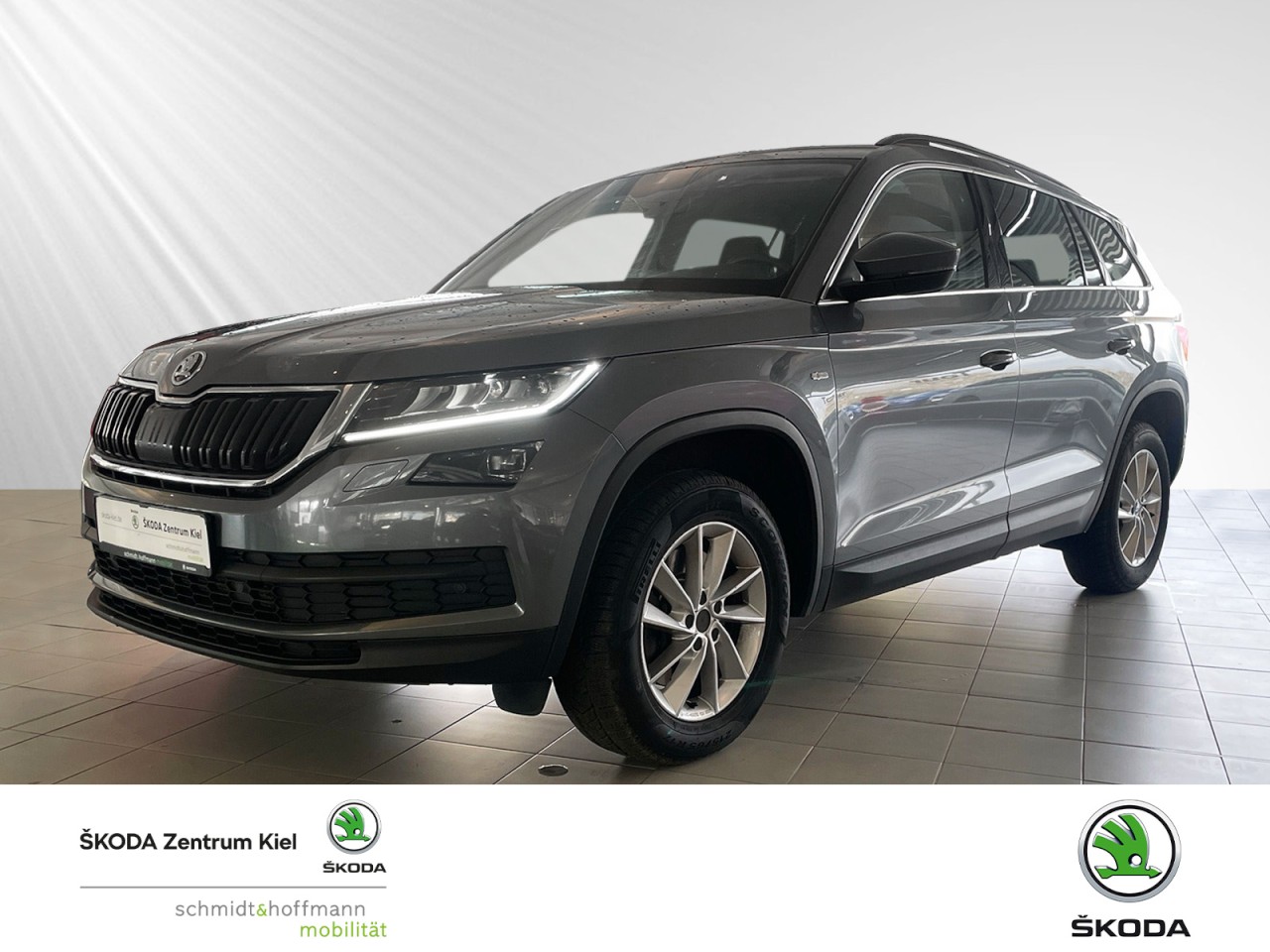 Kodiaq 2.0 TDI Soleil 4x4 (EURO 6d-TEMP) Klima