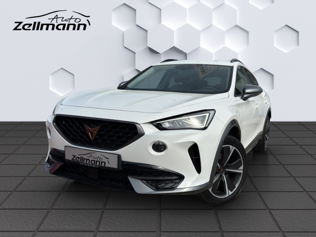 Formentor 1.5TSi 110kW 6 Gang GJR AHZV PDC Sitzheizung