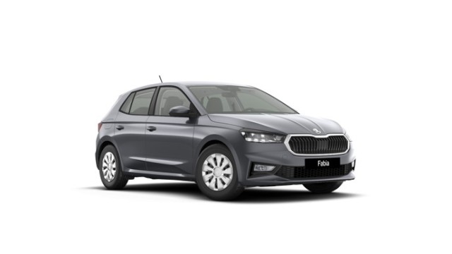 Fabia Selection 1.0 MPI Winterpaket/Smartlink/LED