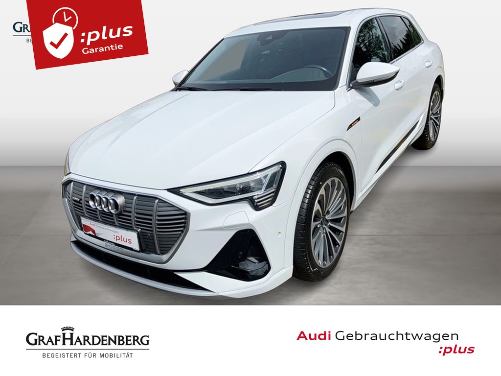 e-tron 50 quattro S line LED GRA Navi Pano