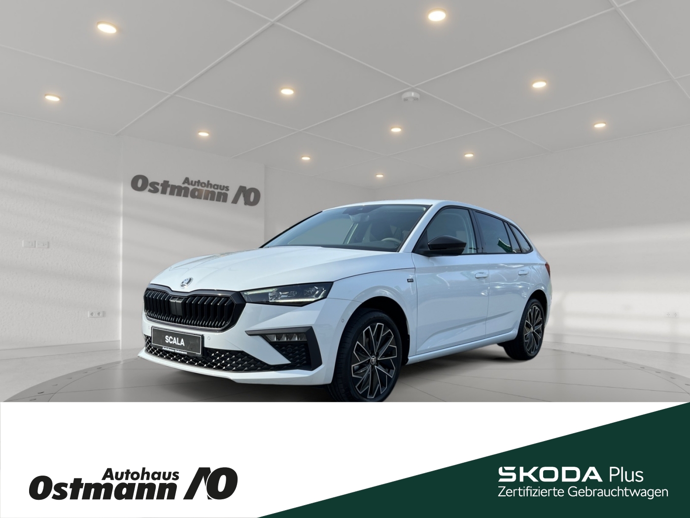 Skoda Scala Drive