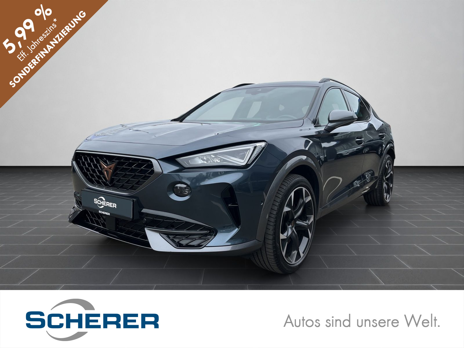 Formentor VZ 2.0 TSI DSG 4Drive NAVI VOLL LED RFK SHZ