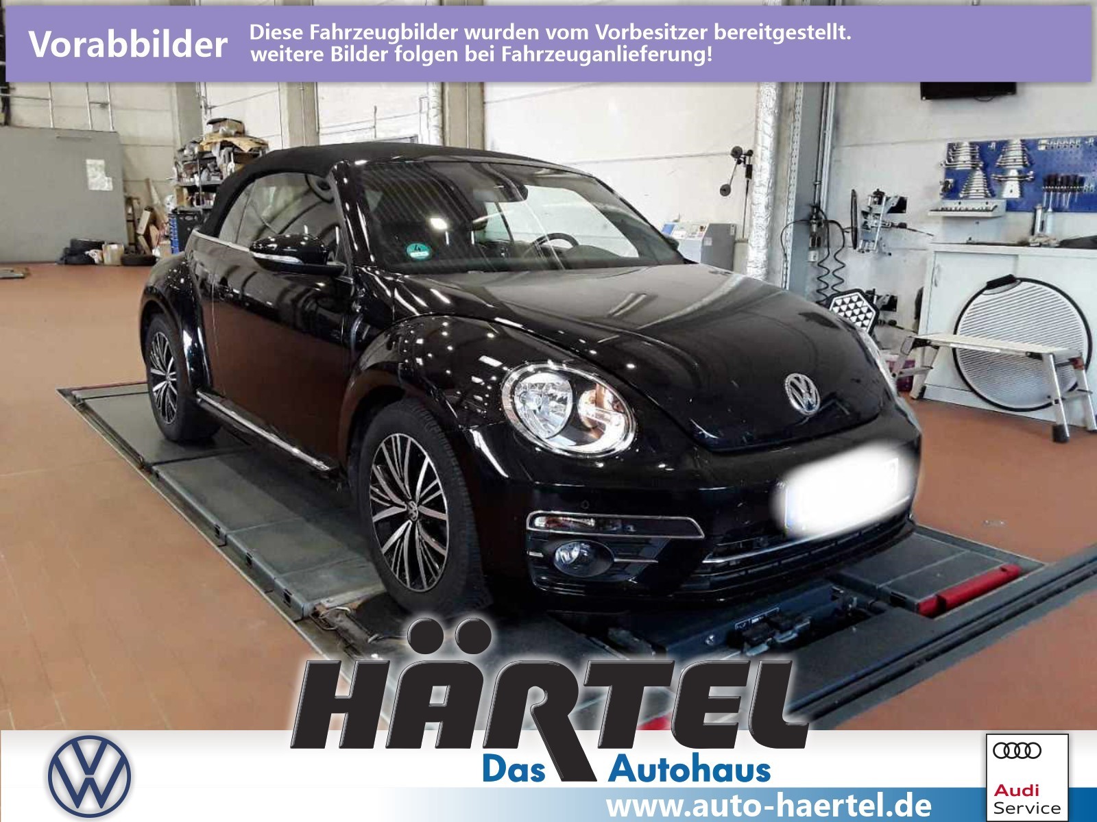 Volkswagen Beetle CABRIOLET ( SITZ