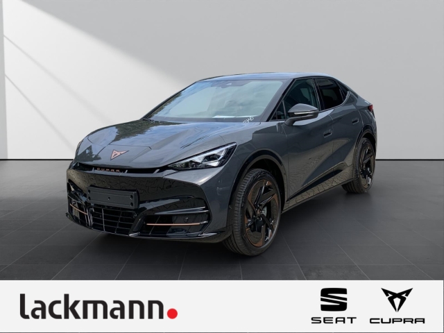 Tavascan Endurance *Matrix*Pano*IntelligentDrive