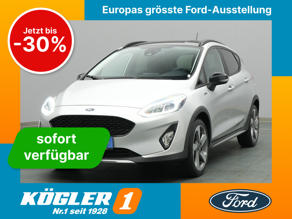 Ford Fiesta Active 85PS Winter-P