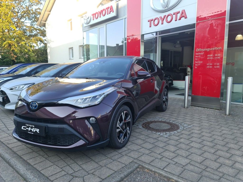 C-HR Hybrid Team Deutschland