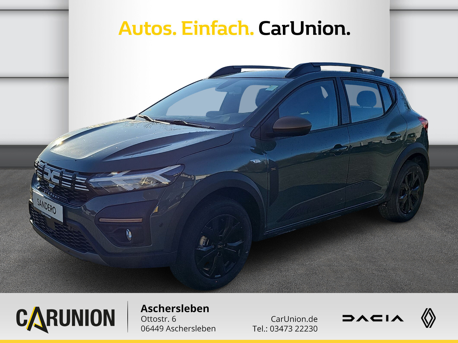 Sandero Stepway Extreme+ TCe 110 Navi PDC Klima