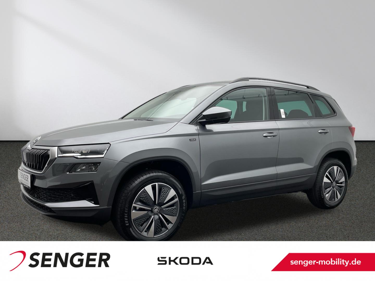 Skoda Karoq 2.0 TDI Selection Infotainment-Paket