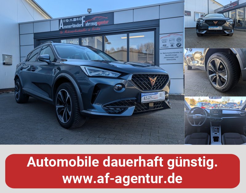 CUPRA Formentor 2.0 TDI 18-ZOLL