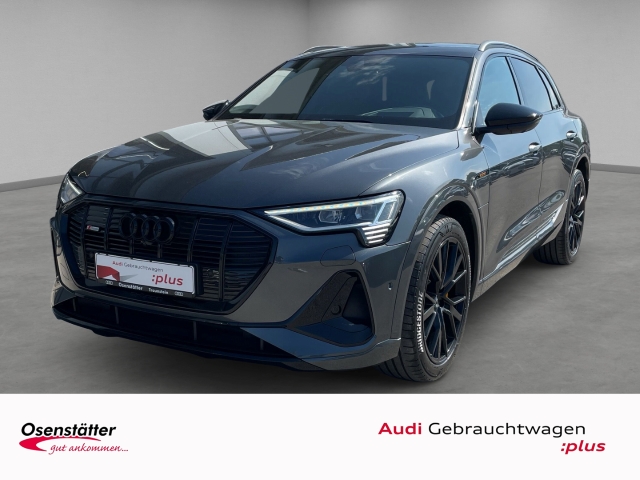 e-tron 55 S-Line qu Matrix AHK HuD Kamera Navi virtual