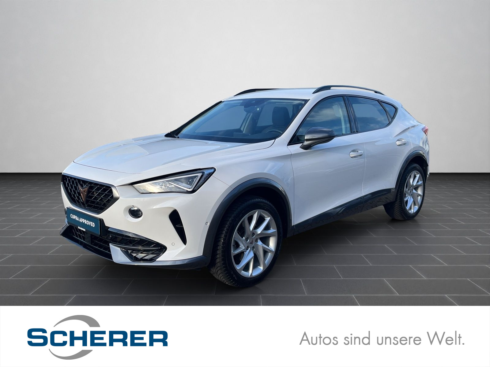 Formentor 1.5 TSI Formentor PDC/LED/FullLink/Winterpaket uvm.