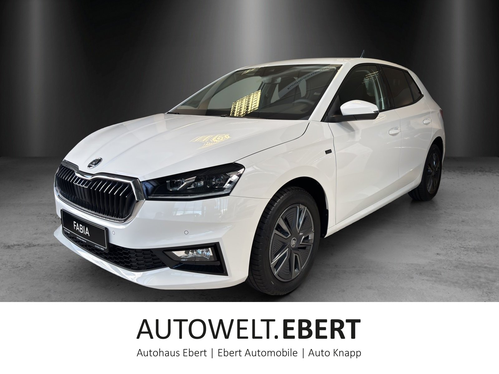 Fabia Tour 1,0 TSI 85 kW DSG