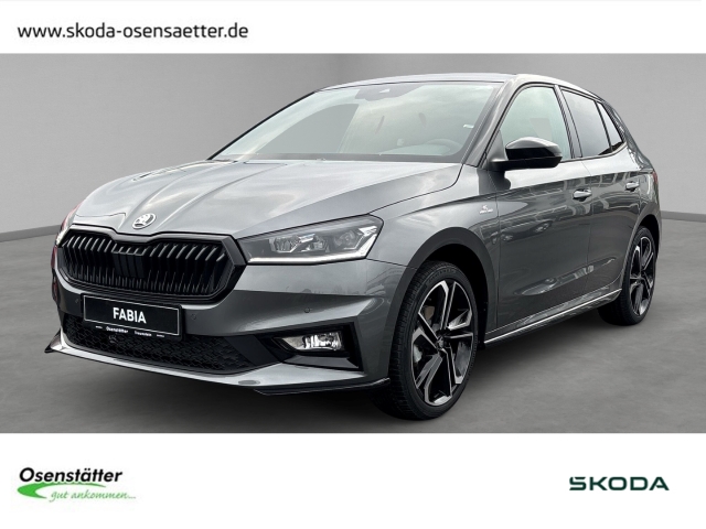 Fabia Monte Carlo 1.5 TSI, Frontkamera, Winter-Paket Plus
