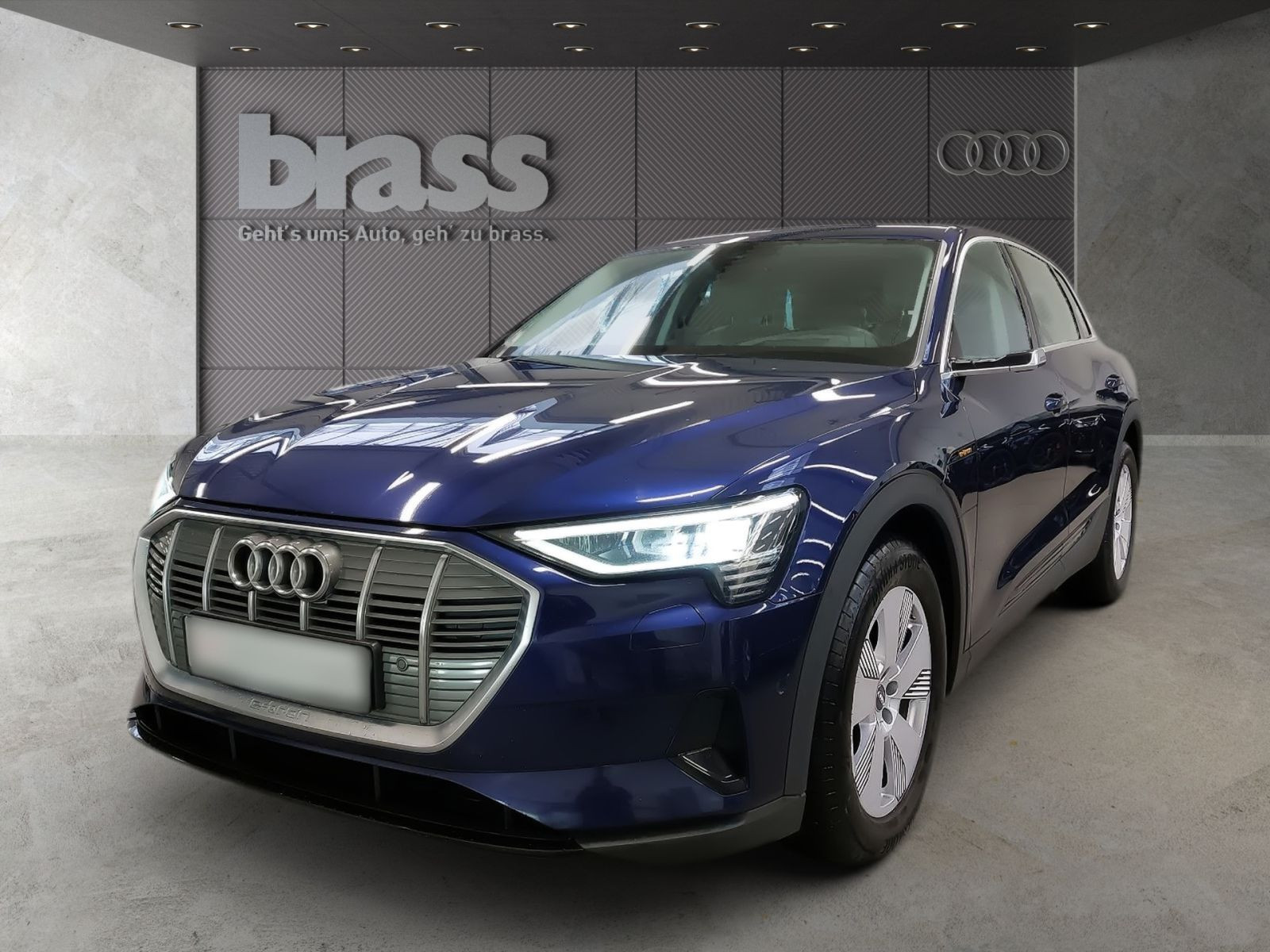 Audi e-tron 50 quattro basis