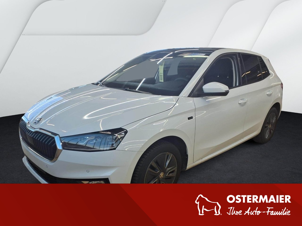 Fabia Drive 1.0TSI DSG.FernA.ViCo.ACC.PANO.KESSY.LED.ASSISTED.SHZG.PDC.LKR-HEIZ.SMARTL