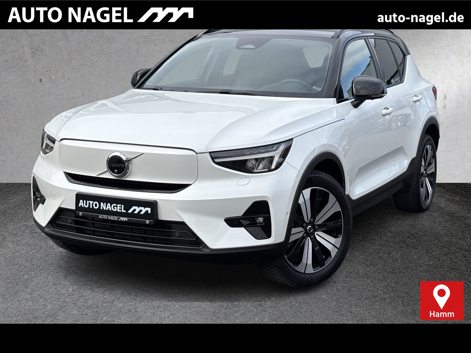 XC40 Recharge Single Ultimate WINTER|SCHEIBEN|