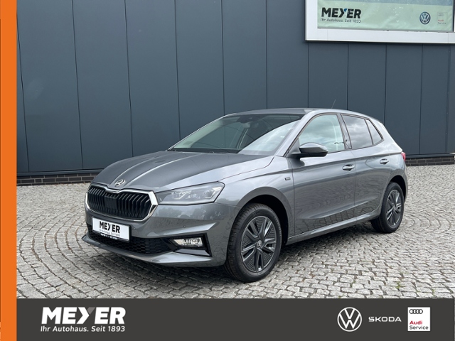 Fabia Tour 1.0 TSI *Winter-Paket,KESSY,Einparkhi