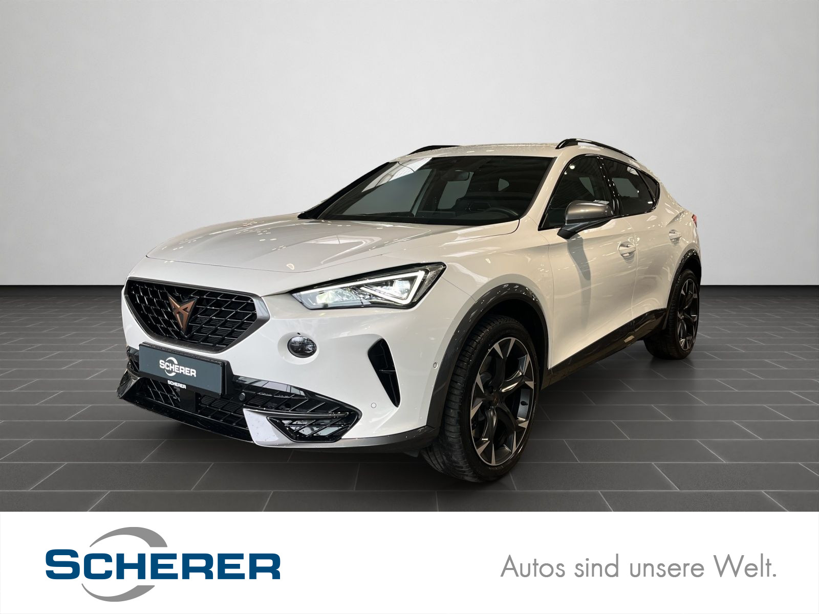 Formentor VZ 2.0 TSI DSG, SHZ, RFK