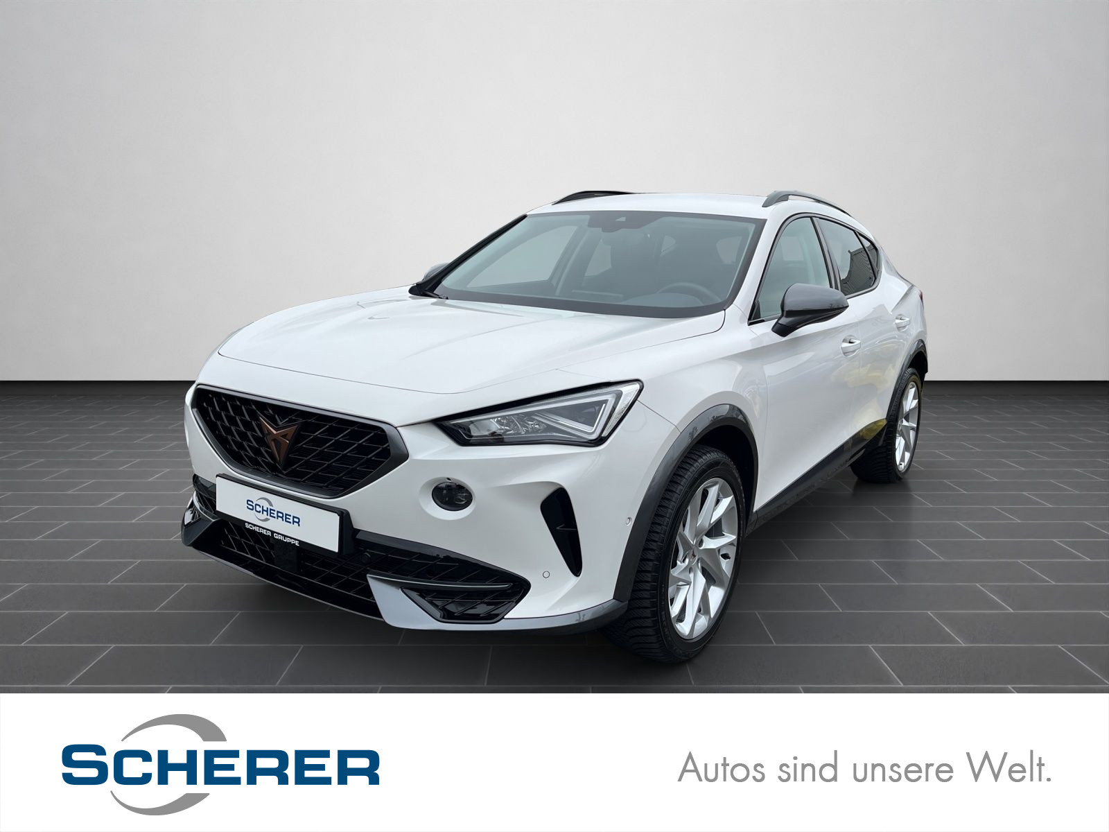 Formentor 1.5 TSI Full Link, RFK, AHK, Winter-Paket
