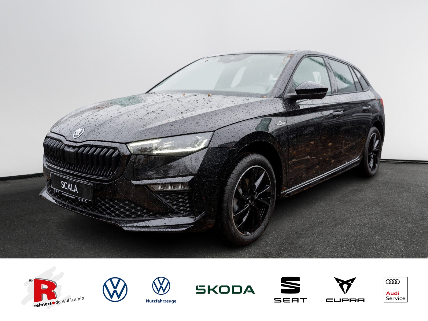 Scala Monte Carlo 1.0 TSI DSG ACC Pano SpurH AHK