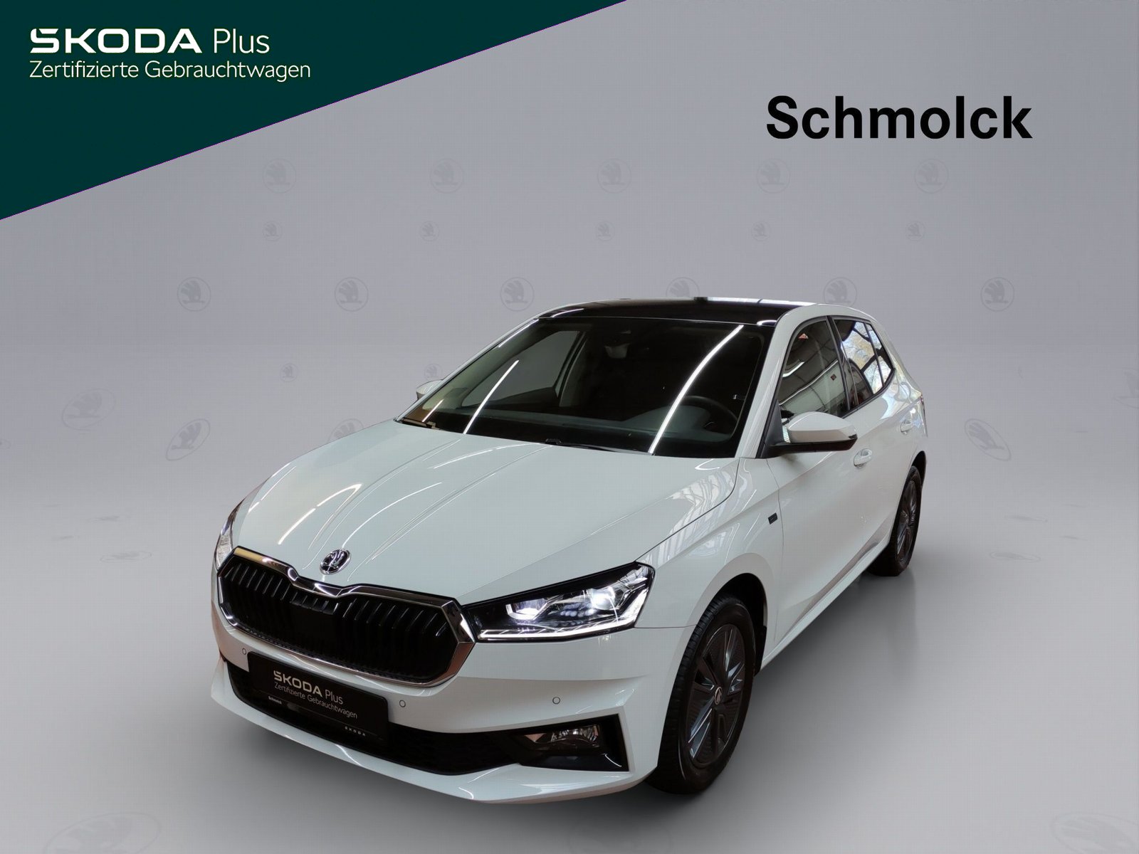 Fabia Selection 1.5 TSI DSG 150PS ACC RFK DAB