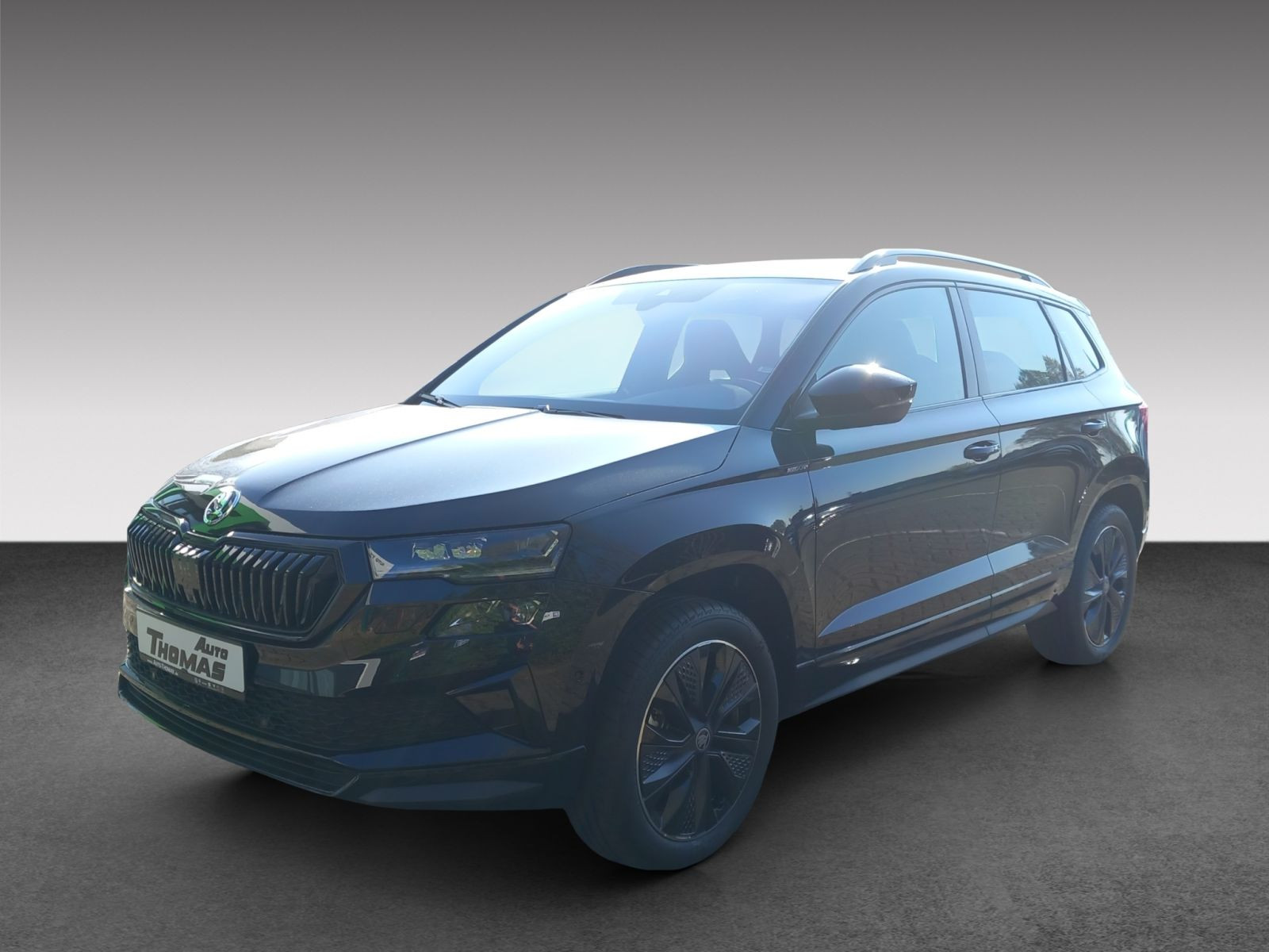 Karoq 2.0 TDI DSG Sportline 4x4 *KAMERA*PANO*