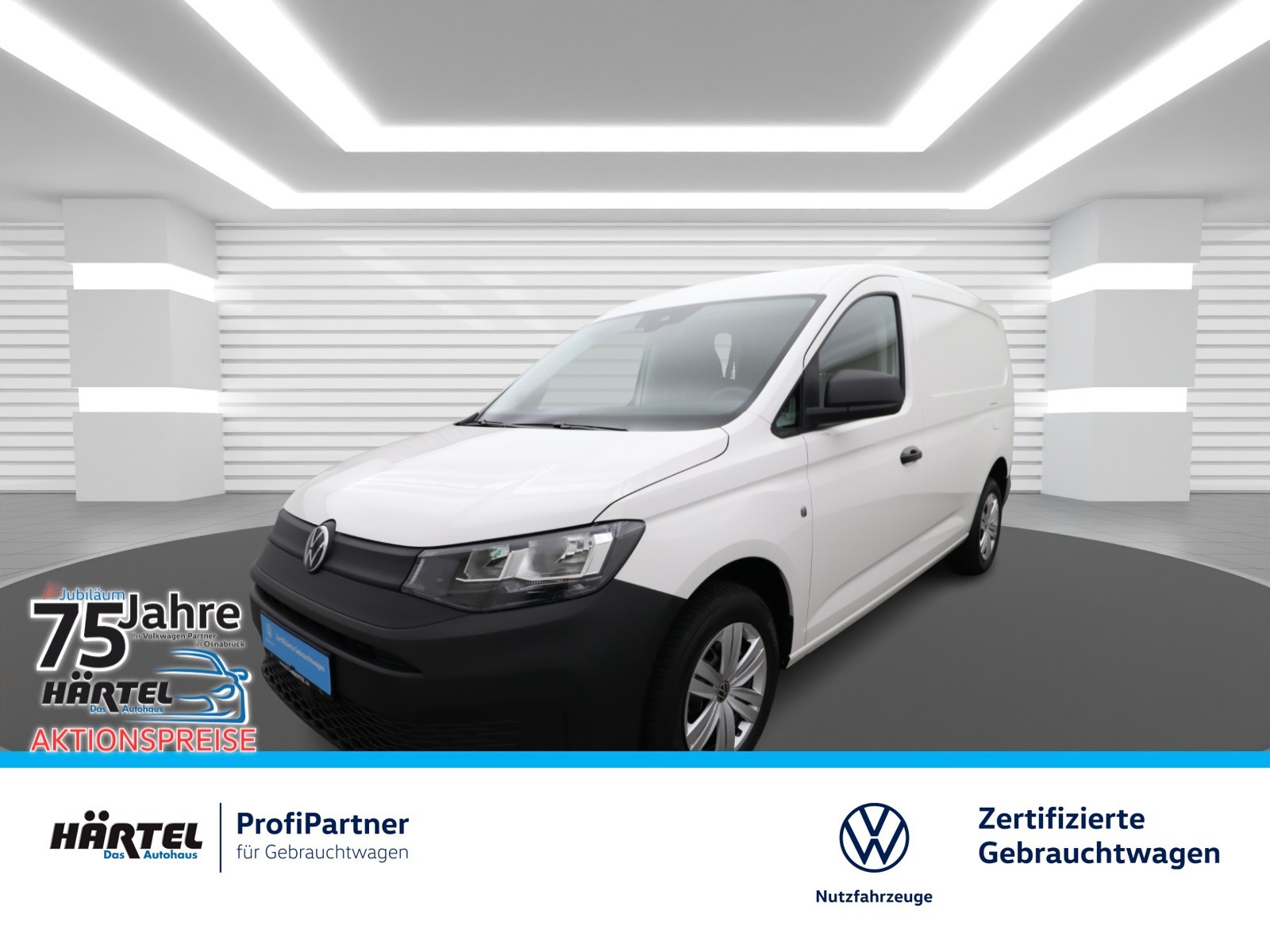 CADDY MAXI CARGO 2.0 TDI (+EURO6+KLIMA) ZV