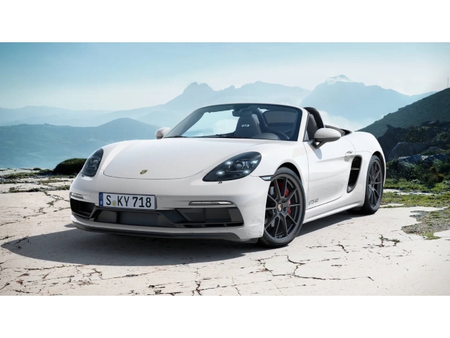 Boxster GTS 4.0 Sitzheizung Rückfahrkamera Navi