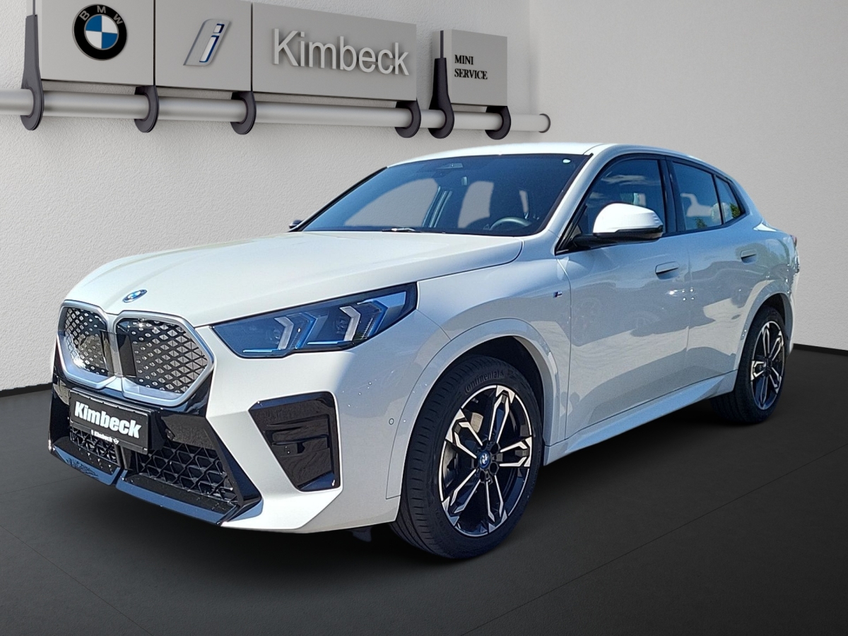 IX2 eDrive20 M SPORT LED ParkAss AHK Lenkhzg