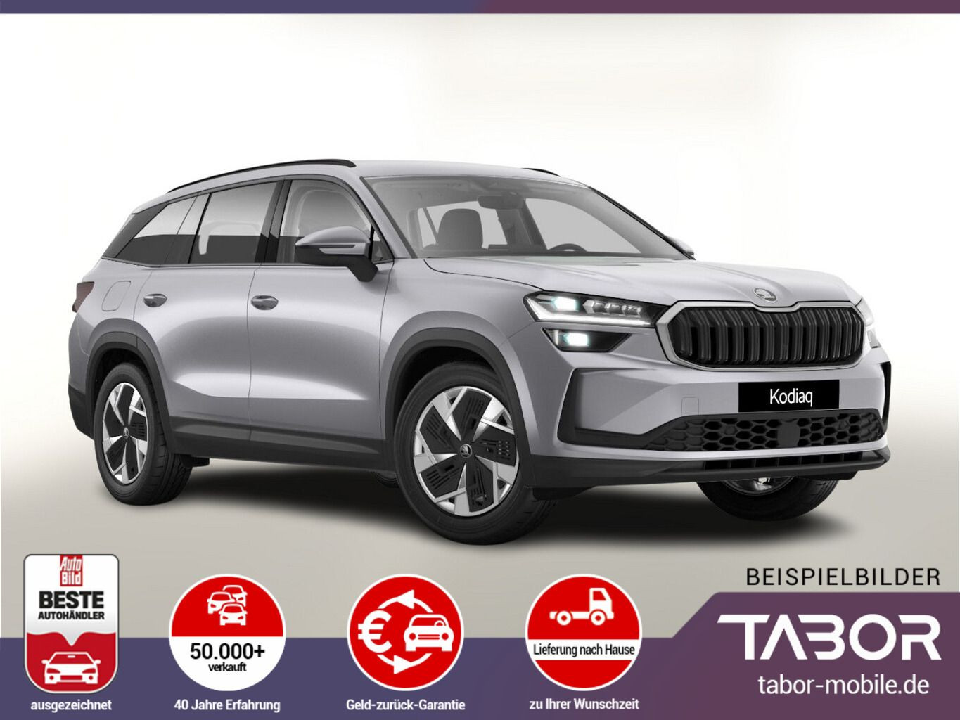 Kodiaq eTSI DSG Selec AHK Matrix 7-S Nav ACC Kam