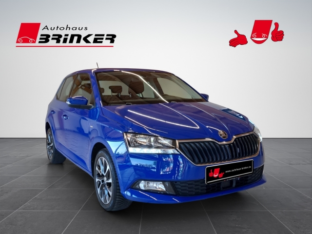 Fabia Drive 125 1.0 MPI EU6d-T Soundsystem Apple CarPlay Android Auto Klimaautom