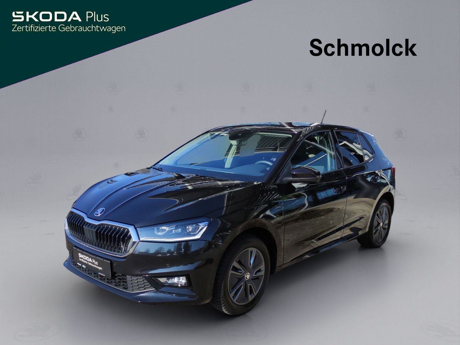 Fabia Drive 1.0 TSI DSG 116PS ACC KESSY RFK DAB