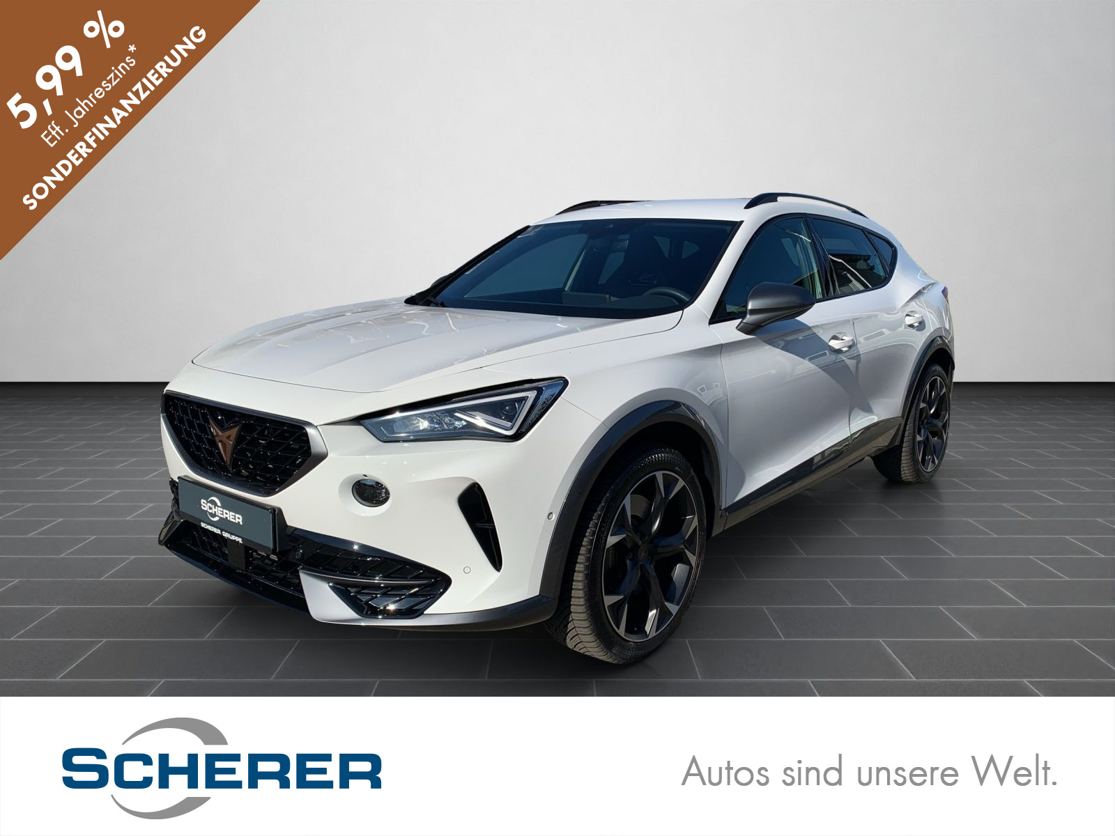 Formentor VZ 2.0 TSI DSG 4Drive NAVI FULL LINK VOLL LED SHZ ACC RFK