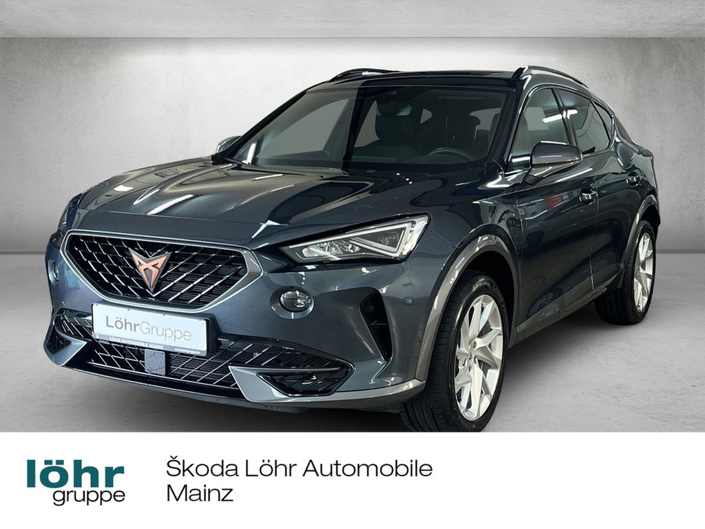 Formentor 1.5 TSI DSG *Pano*Kamera*