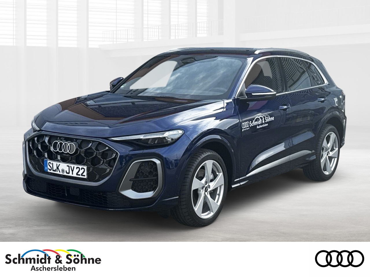 Q5 TDI quattro S line LUFT+LEDER+B&O+HEAD+TOTW
