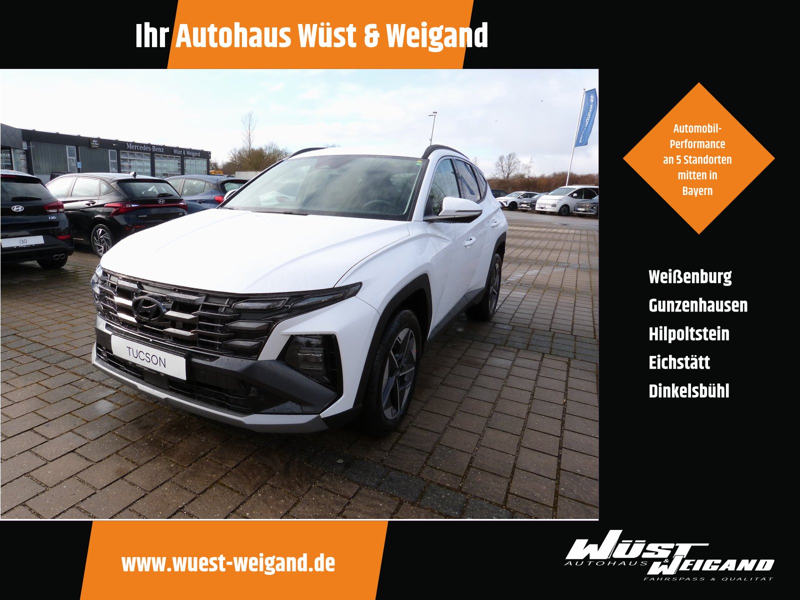 Hyundai Tucson HEV Trend