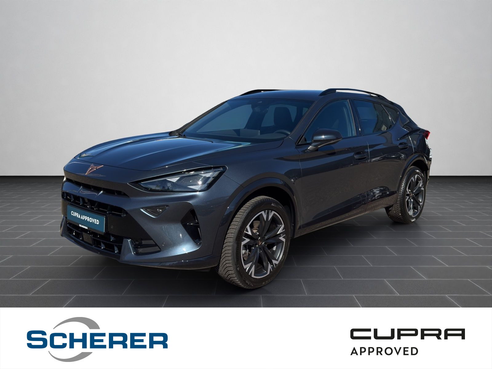 Formentor 1.5 eTSI DSG Navi SHZ Edge Intelligent Drive