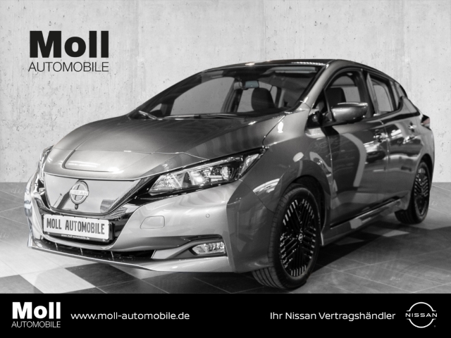 Leaf N-Connecta 40 kWh Winter-Paket