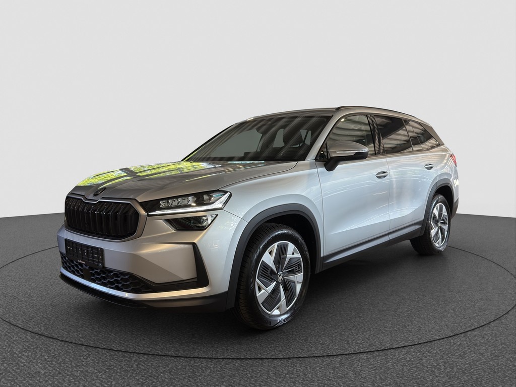 Kodiaq 2.0 TDI DSG 4x4 Selection