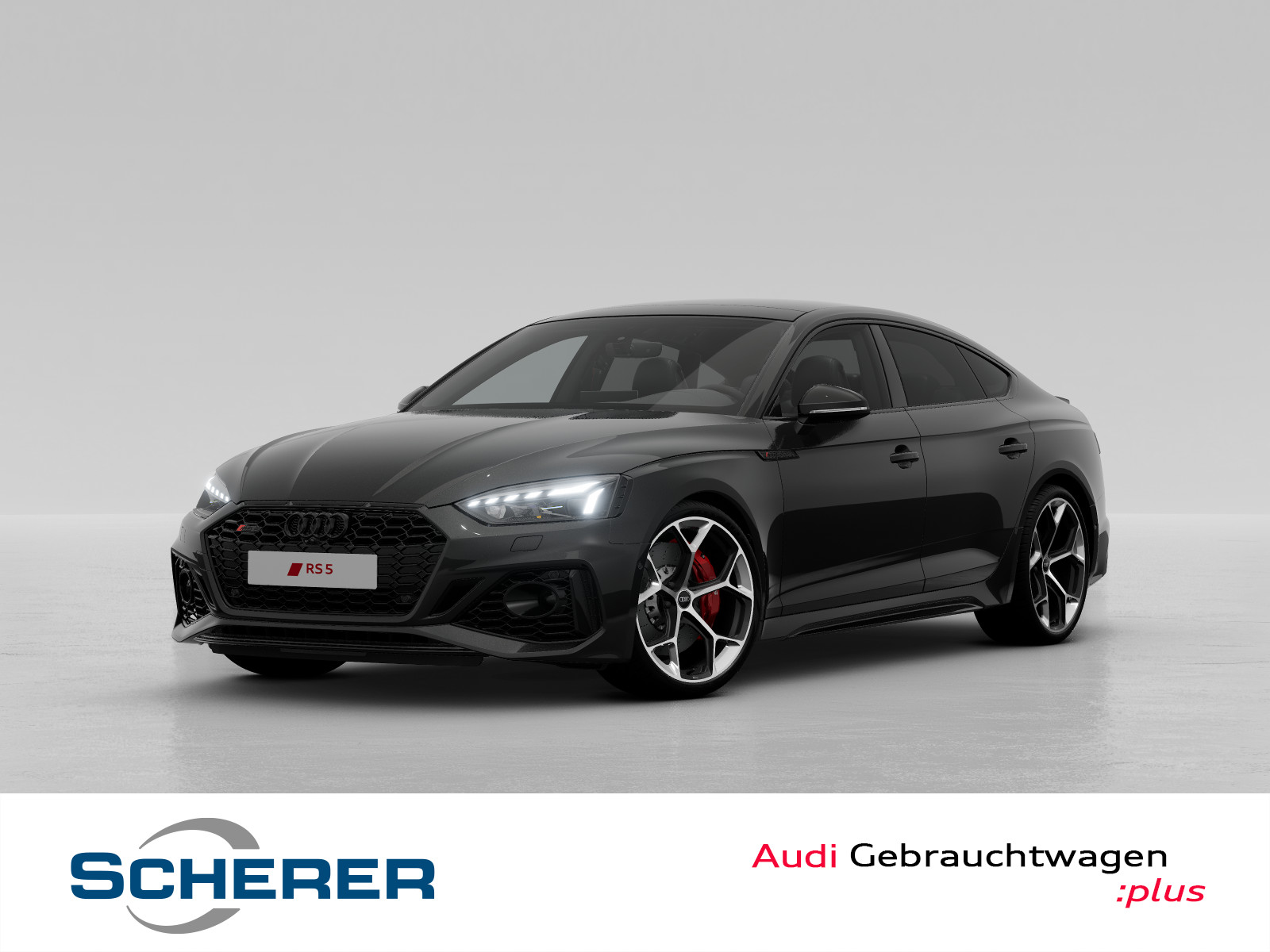 RS 5 Sportback RS 5 Sportback 331(450) kW(PS) tiptronic