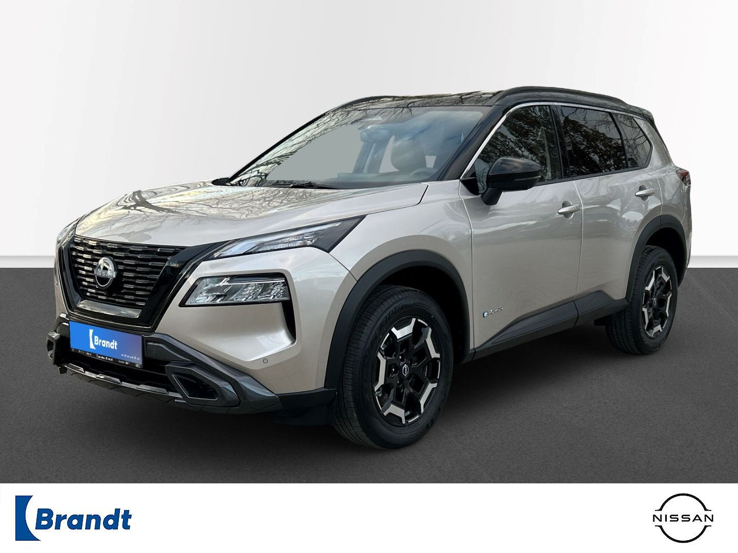 X-Trail N-Trek e-Power AHK 360 Kamera LED Winter