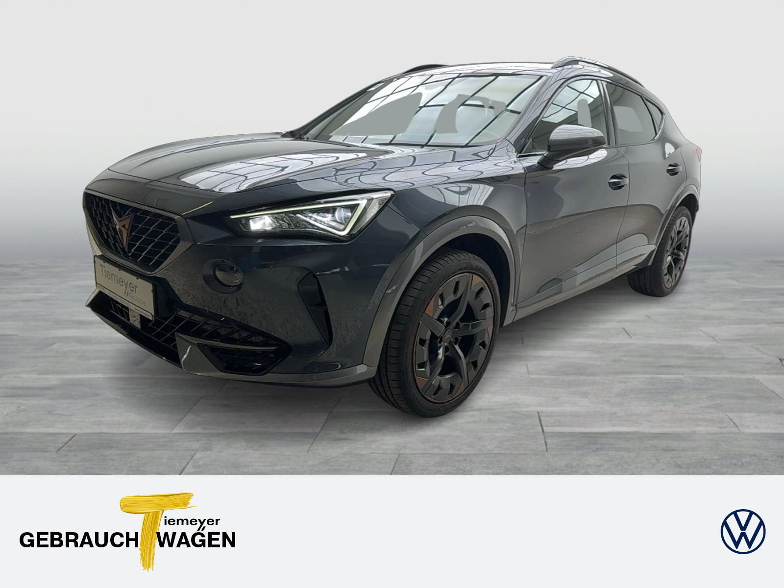Formentor 1.5 TSI DSG NAVI AHK KAMERA LM19