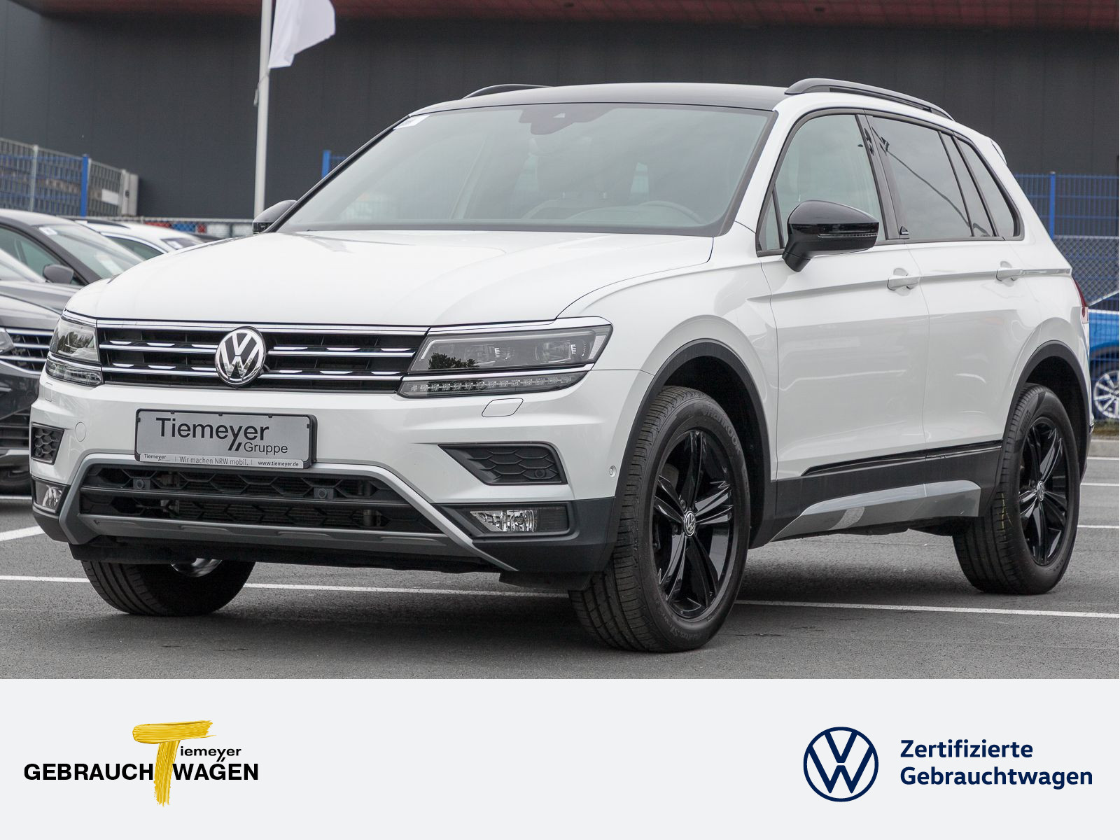 Tiguan 2.0 TDI DSG OFFROAD LED NAVI VIRTUAL AHK