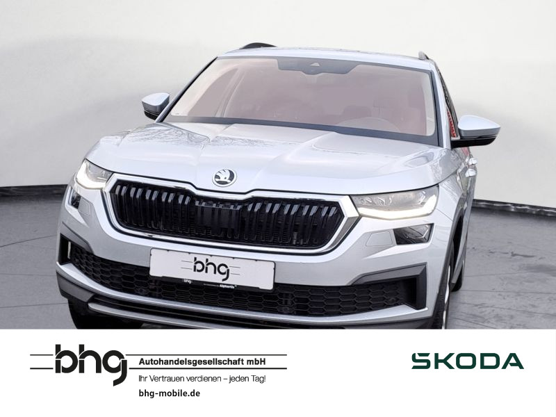 Kodiaq 2.0 TDI DSG Tour AHK Kamera LEDMatrix ParkAssist Kessy Navi connect