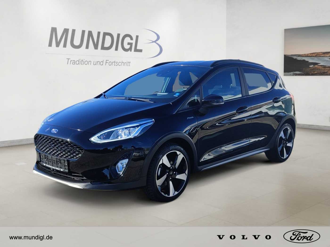 Ford Fiesta 5rtg Active